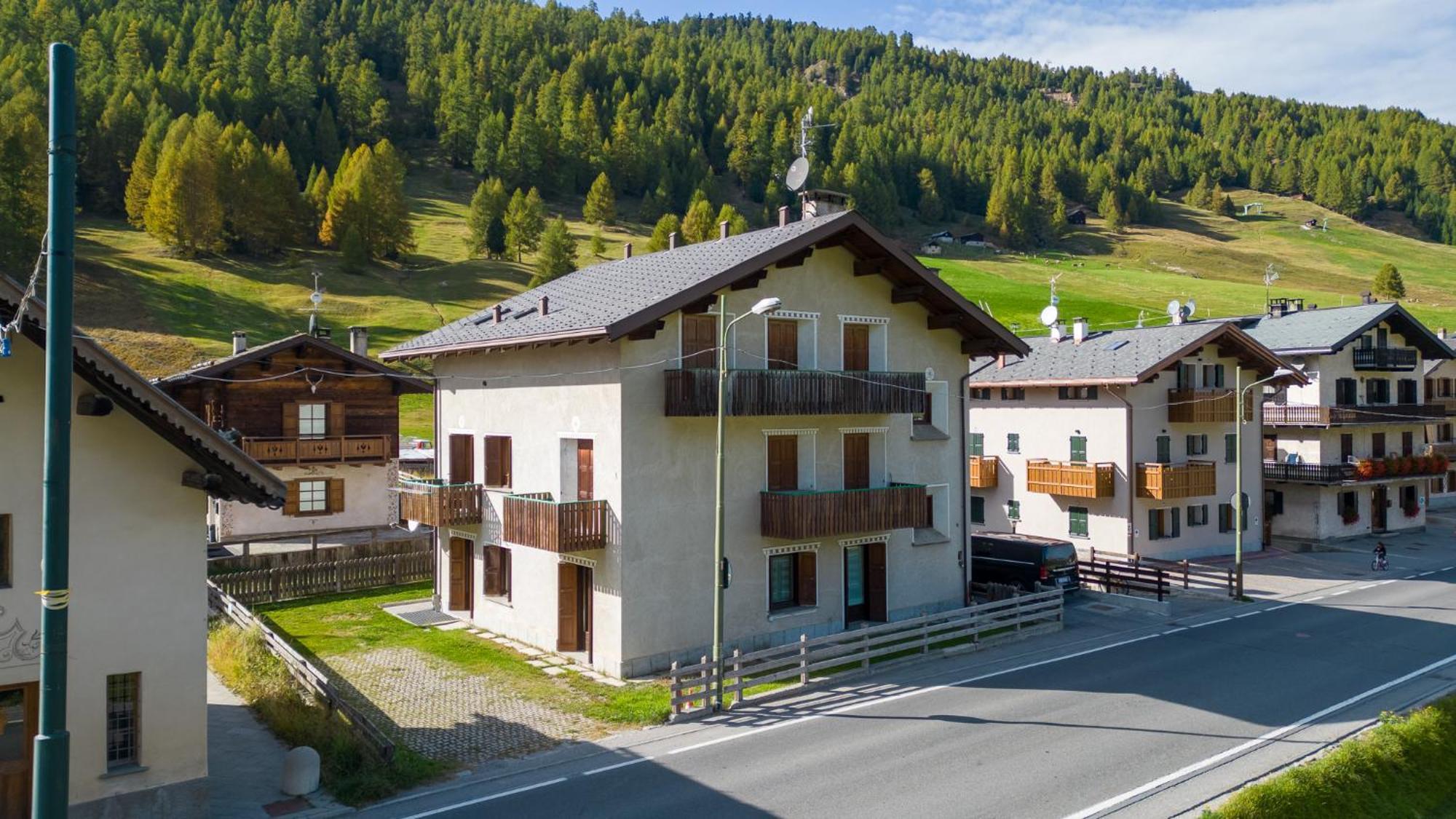 Bluebell Livigno